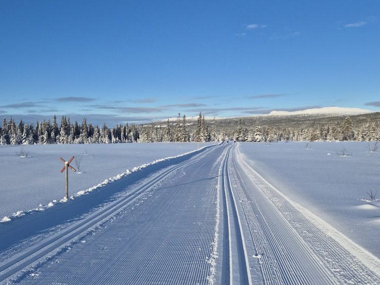 Season’s Greetings 2025